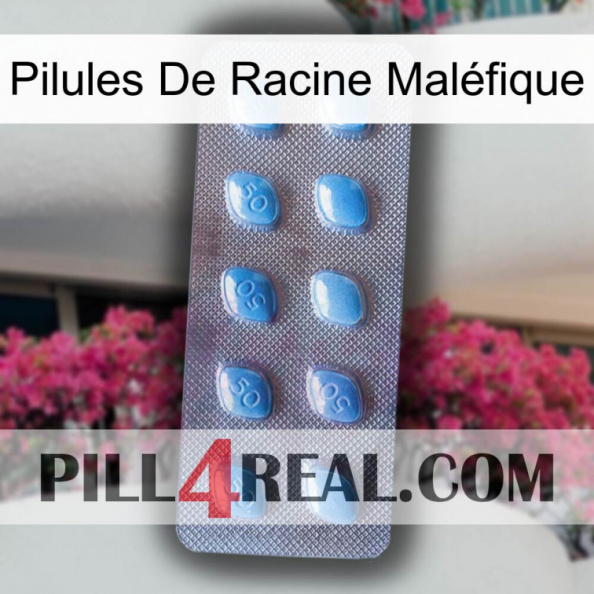 Pilules De Racine Maléfique viagra3